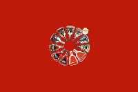 和田市回收红酒
